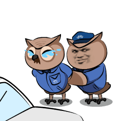 华小视说车灯 | 夜品极氪猎装001