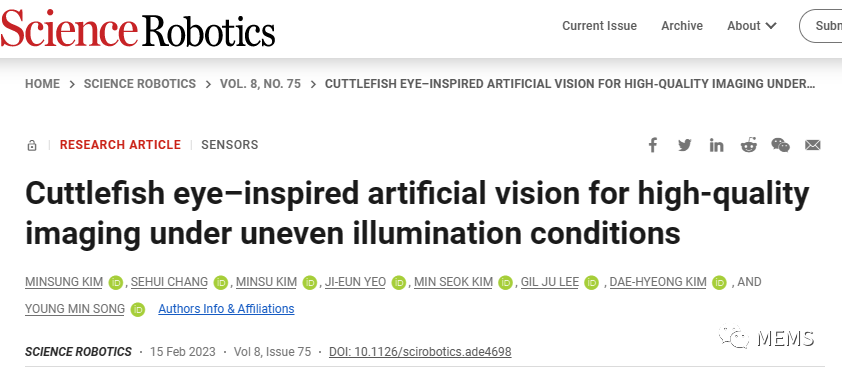 墨鱼眼睛启发的人工视觉，可在不均匀的照明条件下实现高质量成像