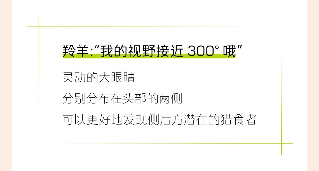 实力很能打的阿维塔三激光雷达