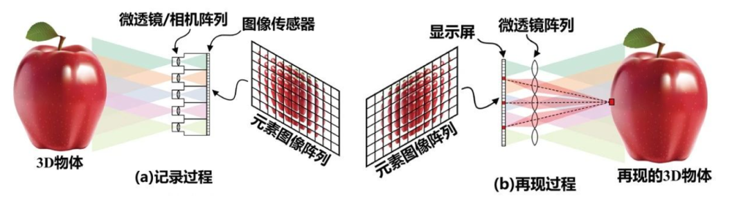 新途径｜微透镜阵列MLA（1）：大面积高质量加工-三维光刻技术