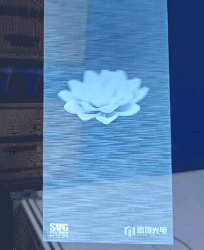 10.gif