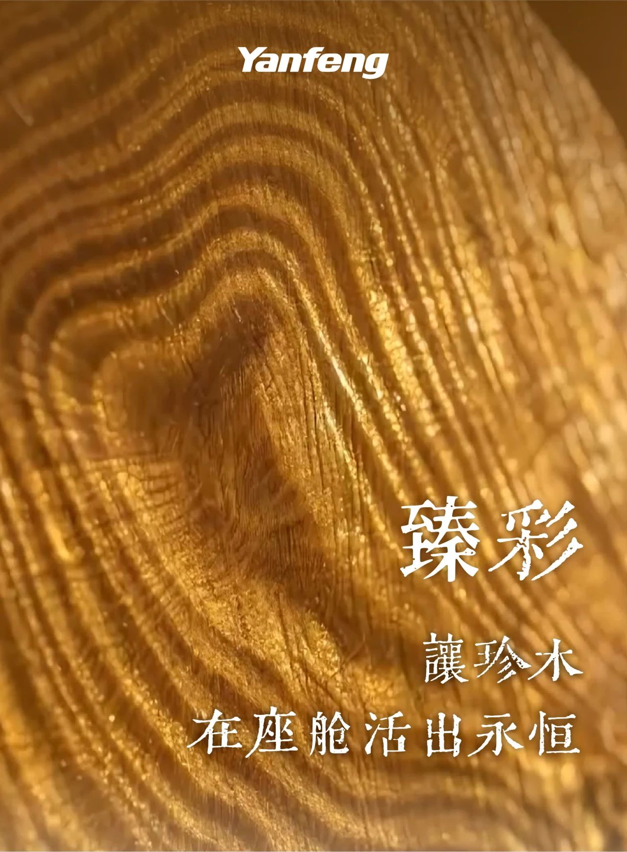 触手新生｜臻彩™：让珍木在座舱活出永恒